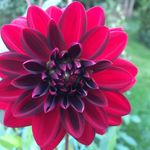 John Ekmann - @johnekmann - Instagram