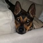 John Eldridge - @john.eldridge.5264 - Instagram