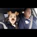 John Eldridge - Facebook