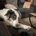 John Eldridge - Facebook