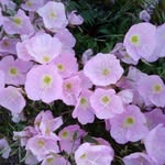John Elko - @john_m.elko - Instagram