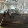 john_helms - @john_helms - TikTok