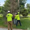 John Embree - @john.embree - TikTok