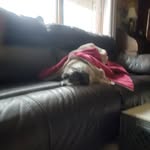 John emmel - @emmel130 - Instagram
