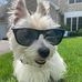 John Engelmann - Facebook