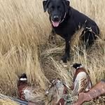 John Knueppel - @johnknueppel - Instagram
