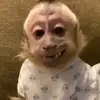 John Erazo - @john.erazo_ - TikTok