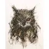 JohnErikson - @dr.johnerikson - TikTok