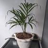 John Ermer Guillera - @john.ermer.guille - TikTok