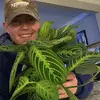 John Ernst - @airbnbplantsanctuary - TikTok