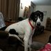 John Ernst - Facebook