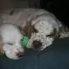 John Ferrante - @john.ferrante8 - TikTok