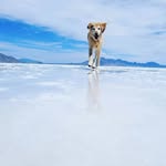 Johanna Espenschied - @gooieandjo - Instagram