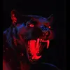 Johnestefann - @johnestefann - TikTok