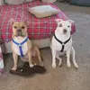 John Estes - @john.estes3 - TikTok