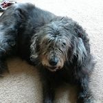 John Etienne - @john_etienne - Instagram