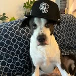 John Eubanks - @eubanks.john - Instagram