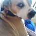 John Everidge - Facebook