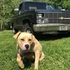 John evitt - @john_evitt0316 - TikTok