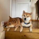 John Exley - @exleyjohn - Instagram