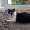 John Exley - @john.exley4 - TikTok