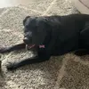 John McFadden - @johnmcfadden46 - TikTok