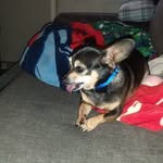 John Fahl - @john.fahl.7 - Instagram