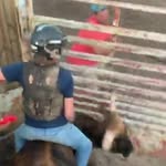 john fallon - @johnfallon29 - Instagram