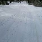 John Falvo - @johnfxfal - Instagram