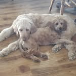 John M. Farace - @johnfarace - Instagram