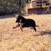 John Farber - Facebook