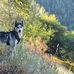 John Farber - Facebook