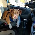 John Farence - @farencejohn - Instagram