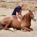 John Farrands - @johnfarrands - Instagram