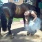 John Nisbet Farrier - @johnnisbetfarrier - Instagram