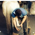 John Walsh, Farrier - @walsh7396 - Instagram