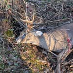 John Farrish - @5.9_john - Instagram