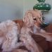 John Fath - Facebook