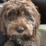 John Featherston - @featherston_john - Instagram