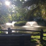 John Fedorko - @johnfedorko07 - Instagram