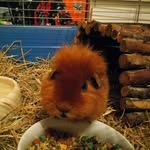john feindt - @johnfeindt - Instagram