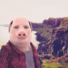johnporkfeins - @johnporkfeins - TikTok