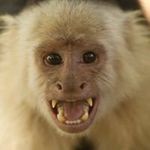John Fenner - @fenner1672 - Instagram