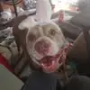 John Ferch - @john.ferch - TikTok