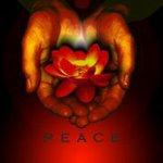 John Fertig - @doc999999 - Instagram