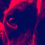 John Fertig - @johnkfertig - Instagram