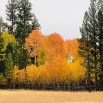 John Fetzer - @big_john_503 - Instagram