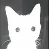 John Fetzer - @john.fetzer - TikTok
