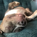 John Michael Fetzer - @john.fetzer84 - Instagram