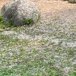 @_john_few_ - Instagram